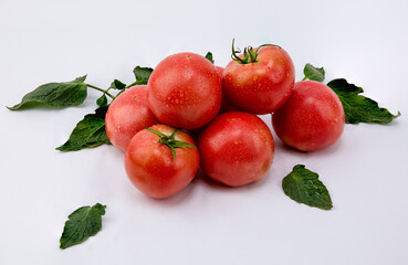 Close-up of red fresh tomatoes with water droplets on white background.