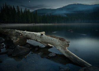 reflection of trees on the lake