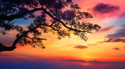 Obraz premium Tree branch silhouette against the sky