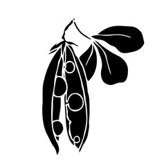 Silhouette, stamp of green pea pod. Decorative botanical element. Vector graphics.
