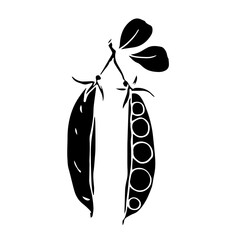 Silhouette, stamp of green pea pod. Decorative botanical element. Vector graphics.