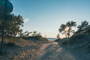Sandy path leading to the beach with sunlight through trees