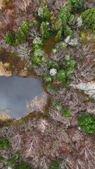 Pond aerial footage in Canada, Newfoundland