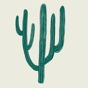 Desert vibes, artistic illustration of a cactus plant