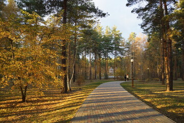 autumn in the park