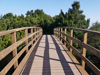 Brücke in den Wald auf La Gomera