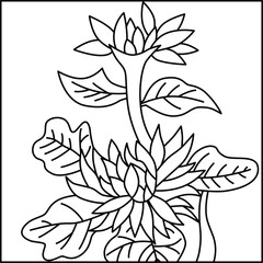 線画正方形花札　長月　菊　9月　菊のカス