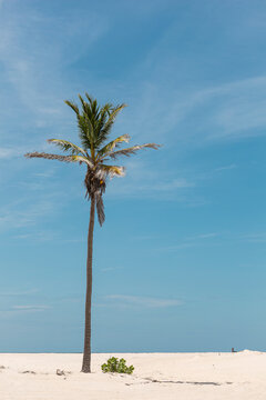 Three days trekking in Len&ccedil;&oacute;is Maranhenses, Brasil. Sand, walter, friends and landscape.