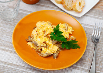 Mushroom omelet - quick and healthy dinner closeup