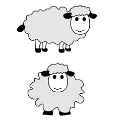 Flat vector lamb side and front view