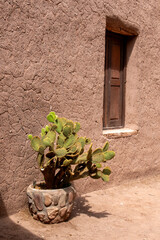 window in a wallcactus and adobe 
