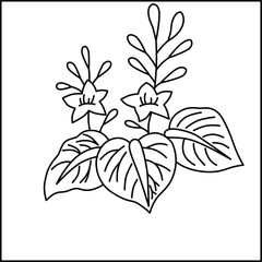 線画正方形花札　師走　桐　12月　桐のカス