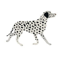 Vector flat hand drawn Dalmatian dog isolated on white background
