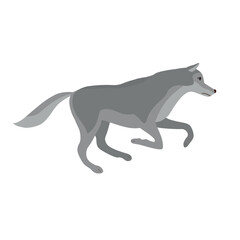 Vector flat hand drawn running wolf isolated on white background