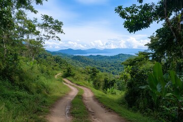 Fototapeta premium Scenic Jungle Road with Ocean View