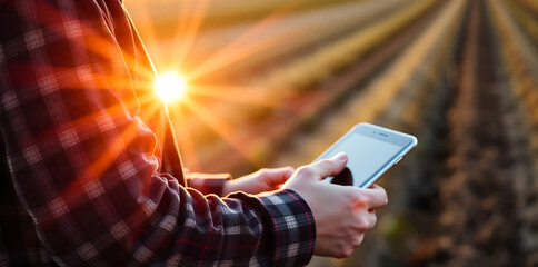 Close-up of a farmer checking weather data on a smartphone 