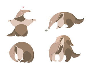 Tamanduá-bandeira isolated illustration. Cute anteater design vector on white background.