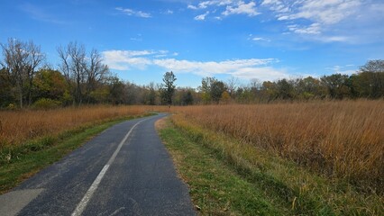 country road in autumn