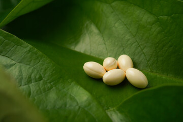 white softgels herbal medicine on leaves, capsules with vitamin E, Cod liver oil, DHA, Fish oil omega 3