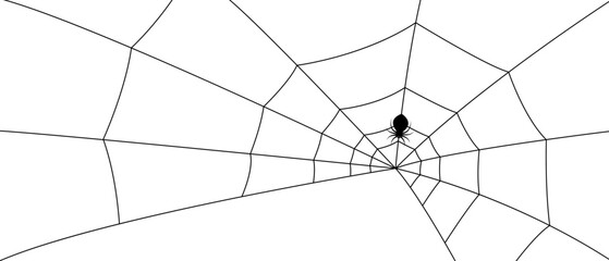 Obraz premium white spider web on black background