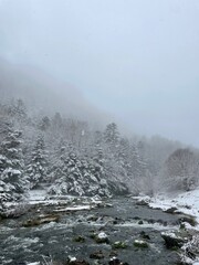 Southern France mountains in the winter 