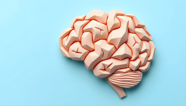 Brain symbol presented by human brain anatomy made form paper on light blue background. Creative idea for thinking, brain disorder, neurology, psychology or mental health concept. Minimal style isol