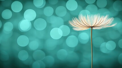 Single Dandelion Seed Floating on Abstract Bokeh Background