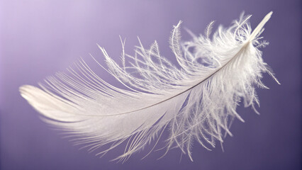 Obraz premium Single White Feather on a Purple Background