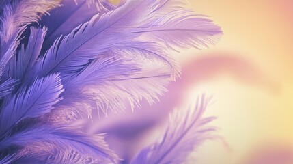 Obraz premium A soothing lavender and pale yellow gradient background