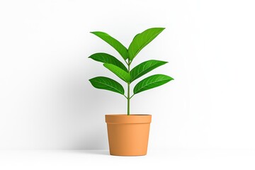 Obraz premium Asclepias Milkweed Flower in Pot on White Background - Nature's Beauty in a Simple Setting