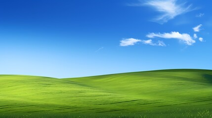 Fototapeta premium digital technology blue sky grass landscape poster background with generative