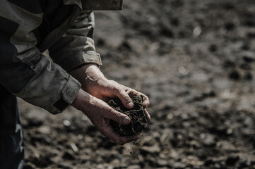 Soil Compost, Organic Plant Fertilizers On Hand For Plantation.Farmer dirty hands on bio farm in...