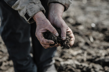 A worker in a garden with soil in his hands.Close up of women hands touching dry ground in an agricultural field, Soil, cultivated dirt, earth, ground, Organic gardening, agriculture. Farmer.