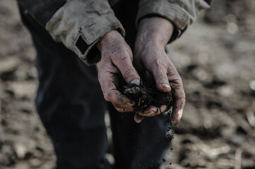 soil in the hands of the farmer. agriculture. close-up of farmers hands holding sun black soil in...