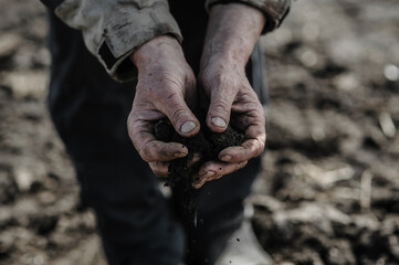 A worker in a garden with soil in his hands.Close up of women hands touching dry ground in an agricultural field, Soil, cultivated dirt, earth, ground, Organic gardening, agriculture. Farmer.