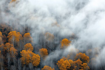 Fototapeta premium Aerial photography of a mountain forest, surrounded by white clouds and mist in autumn.