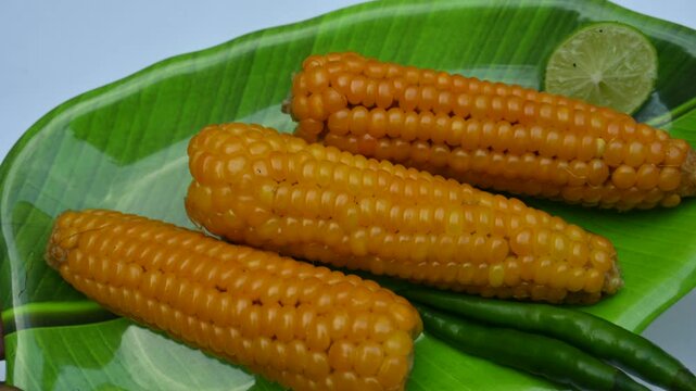 Boiled sweet corn on a plate. This is a complete food for humans. It contains many vitamins, such as Vitamin B1, B5, C, B9, E, A. Boiled corn on the cob. It's like all over world.  Heathy eating. 