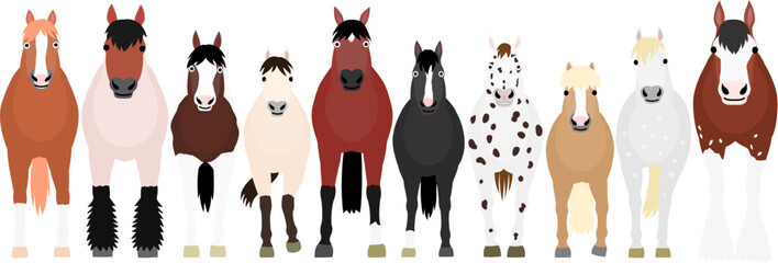 cute colorful cartoon horses in a row, from the front