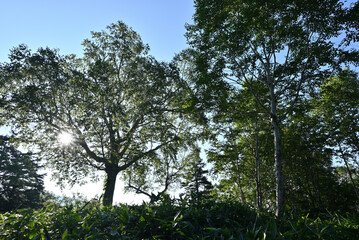 Climbing Mt. Shirasuna, Gunma, Japan