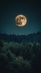 Fototapeta premium Full moon over dark forest landscape at night, serene nature scene