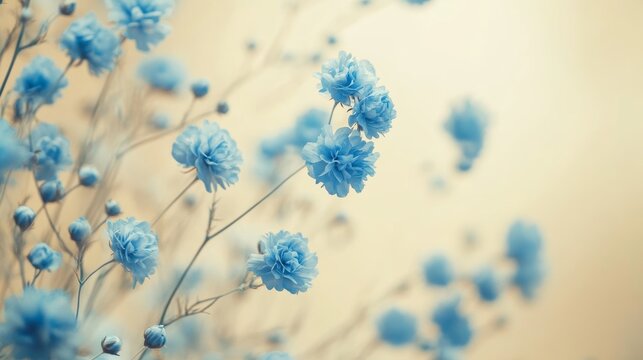 Blue flowers in soft focus on a beige background, delicate nature. Serene and peaceful concept