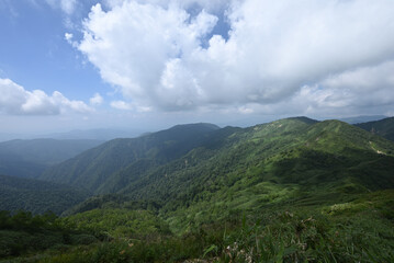 Naklejka premium Climbing Mt. Shirasuna, Gunma, Japan