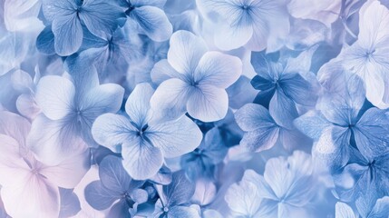 Fototapeta premium A seamless floral pattern in a gradient of blue hues, featuring