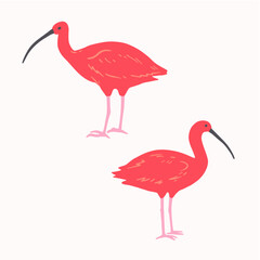 Set of red ibis in minimalistic style. Vector illustration.