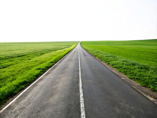 Fototapeta premium road in the field. road, highway, sky, asphalt, landscape, travel, rural, nature, field, country, way, countryside, summer, green, street, horizon, empty, grass, transportation, drive, tree, cloud, li