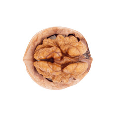 Walnut Organic Healthy Nut on White Background. File With Clipping Path.