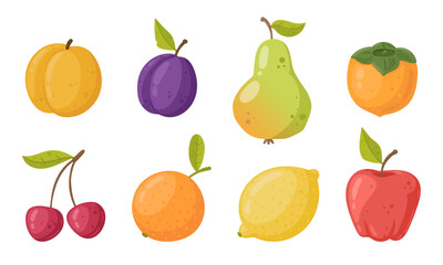 Summer fruits. Apple, pear, persimmon and lemon, fresh organic vitamin vegetarian food flat vector illustration set. Cartoon fruits on white