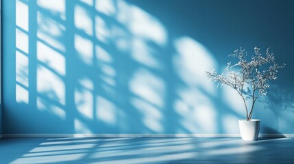 Minimalist blue wall with a white plant in a pot and window light.