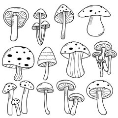illustration of mushroom lineart