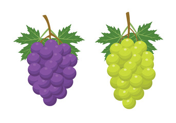 Purple and green grapes fruit with leaf 